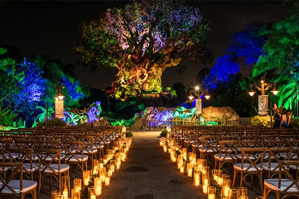 Wedding Ceremony at Animal Kingdom